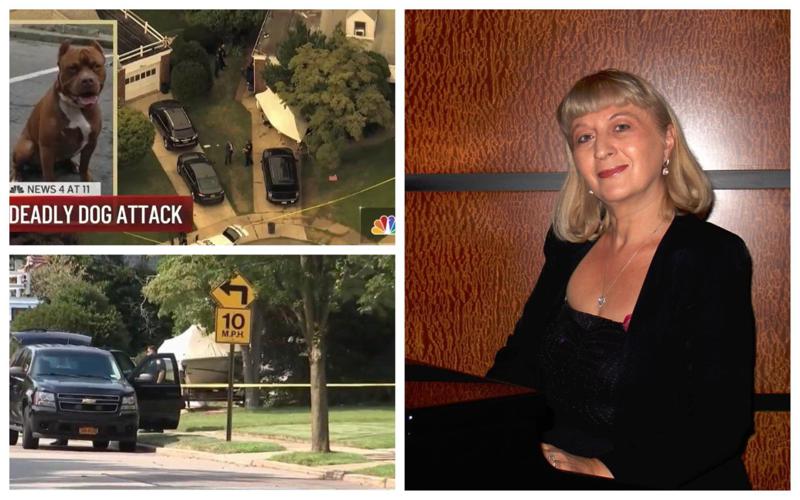 "მთელი ამერიკული მედია შეძრა ამ ამბავმა" - აშშ-ში მცხოვრები ქართველი პიანისტი, რომელიც შვილის პიტბულმა დაგლიჯა, ეზოში გარდაცვლილი იპოვეს