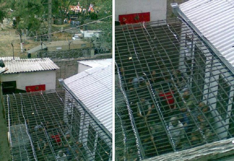 "ცხინვალი  - ოკუპანტებს გალიებში უწყლოდ გამოკეტილი ჰყავთ ქართველები, თავად კი გერგიევის კონცერტზე ზეიმობენ" - რუსული აგრესიის ამსახველი ერთ-ერთი ყველაზე მძიმე კადრი