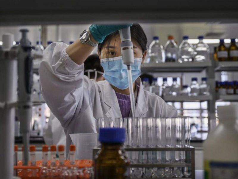 ჩინეთში ახალი Langya ჰენიპავირუსის ათობით შემთხვევა გამოვლინდა, რომელიც ადამიანზე, სავარაუდოდ, ცხოველიდან გადავიდა - რა სიმპტომები ახასიათებს და რამდენად სახიფათოა ის