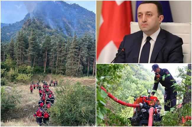 პრემიერის ბრძანებით, ბორჯომის ტყეში ხანძრის ჩაქრობის პროცესში თავდაცვის ძალები ჩაერთნენ - ადგილზე ჩავიდა თავდაცვის მინისტრიც