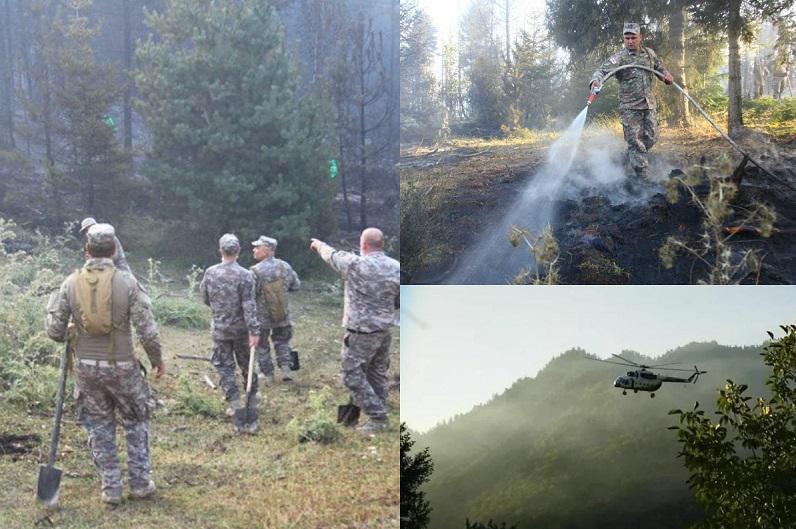 როგორია ვითარება ბორჯომში, სადაც ტყის ხანძარს ებრძვიან - ხანძრის ქრობის პროცესში 4 ვერტმფრენია ჩართული(ფოტოები)