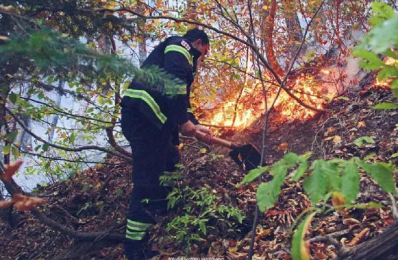 ამბროლაურის მუნიციპალიტეტის სოფელ ძირაგეულში ხანძარი ლიკვიდირებულია