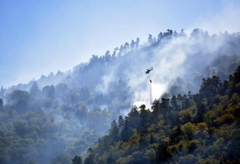 როგორია ვითარება ბორჯომში, სადაც რამდენიმე დღეა ტყის ხანძარს ებრძვიან