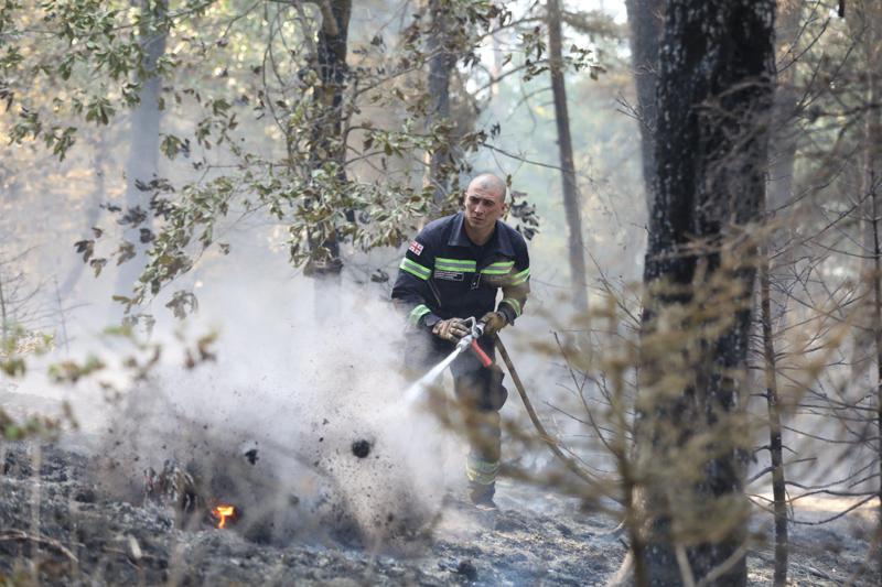 "ან ბიზნესი სად არის, ან სად არიან სამოქალაქო აქტივისტები? ეს ტყე თქვენი არ არის? ჩადით, ან საჭმელი ჩაუტანეთ ამ ხალხს, ან..." - ბორჯომის ხეობაში კვლავ უმძიმესი ვითარებაა: რას წერს ჟურნალისტი?