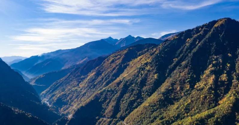 "სტრატეგიულად მნიშვნელოვანი რეგიონის ნაწილი პრაქტიკულად რუსეთს "აჩუქეს" - ნადირობა "საქართველოს შვეიცარიაში":  რას წერს BBC -ი რაჭის ტყეების 49-წლიანი იჯარით გადაცემაზე?