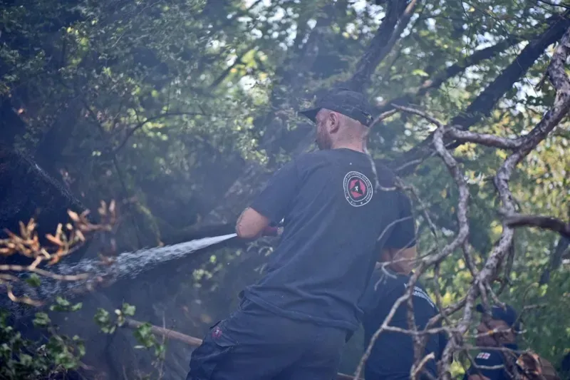 უახლესი ცნობები ბორჯომიდან: რა ვითარებაა სტიქიის ზონაში, რას აცხადებს შსს