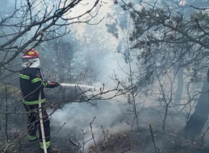 სოფელ ნინოწმინდაში ხანძარი იყო