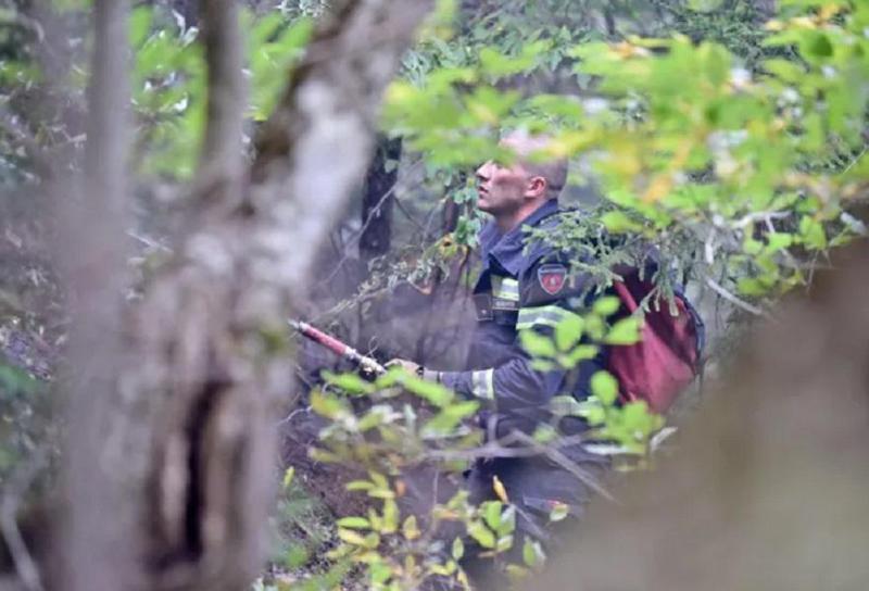 ხანძრის ქრობის პროცესი დასკვნით ეტაპზე გადავიდა - უახლესი ცნობები ბორჯომის ხეობიდან