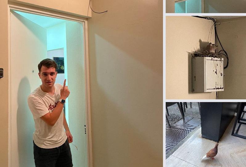 "ეს ფოტო შარშან მარიამობასაა გადაღებული... მტრედზე მიგვითითა ჩვენმა ბიჭმა და გაფრინდა" -  რას წერს ნიკო კვარაცხელიას დედა