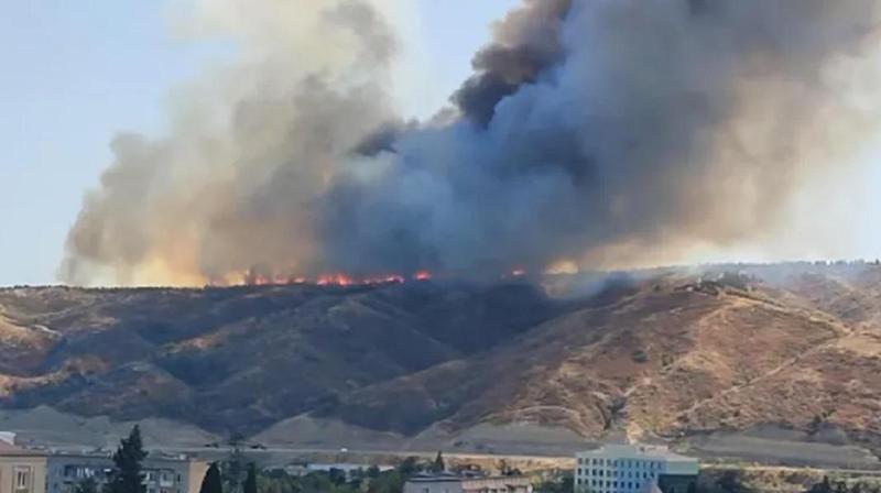 შავნაბადას ტერიტორიაზე ხანძარია - როგორია ვითარება ამ წუთებში ადგილზე