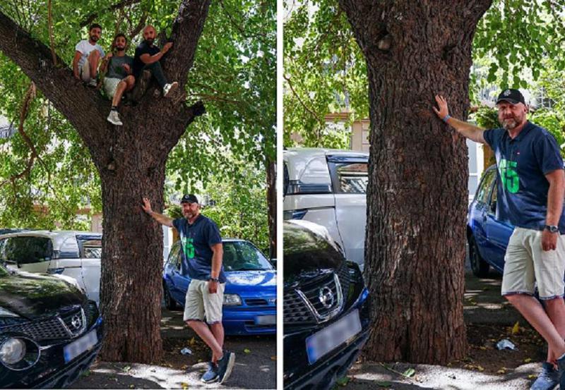 "ფესვი და ნაყოფები" - რა ფოტოს აქვეყნებს ზურაბ ჯაფარიძე