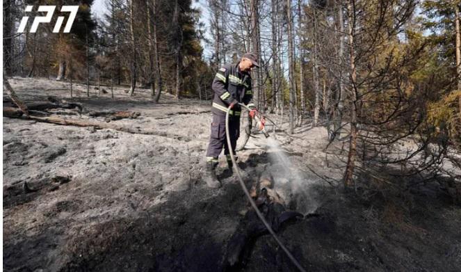შავნაბადას ტყეში ხანძარი ლოკალიზებულია, ამ წუთებში ადგილზე ცალკეული მხრჩოლავი კერების დამუშავება მიმდინარეობს