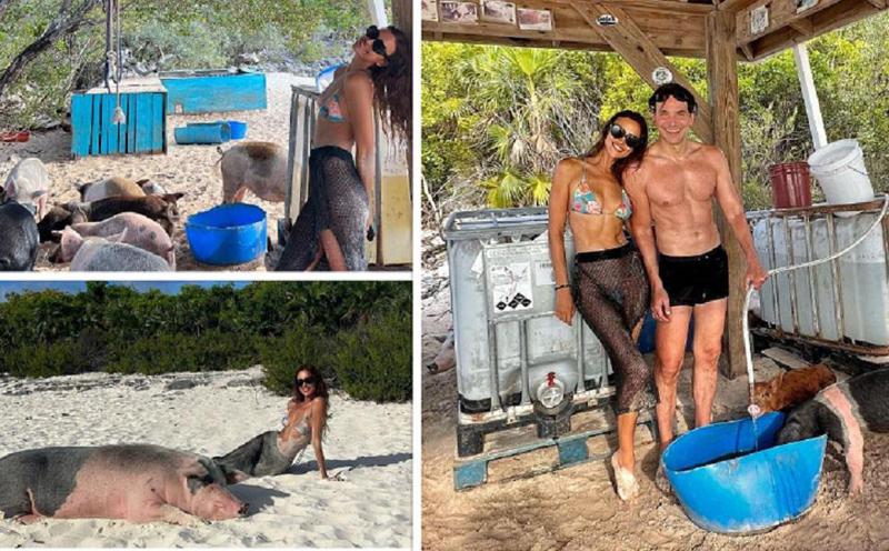 ირინა შეიკისა და ბრედლი კუპერის მხიარული არდადეგები ბაჰამის კუნძულებზე ღორებთან ერთად - სოფლის ცხოვრებით აღფრთოვანებული წყვილის ფოტოები