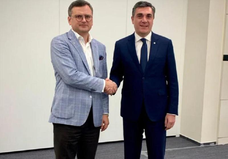 რას წერს დმიტრო კულება ილია დარჩიაშვილთან შეხვედრის შესახებ