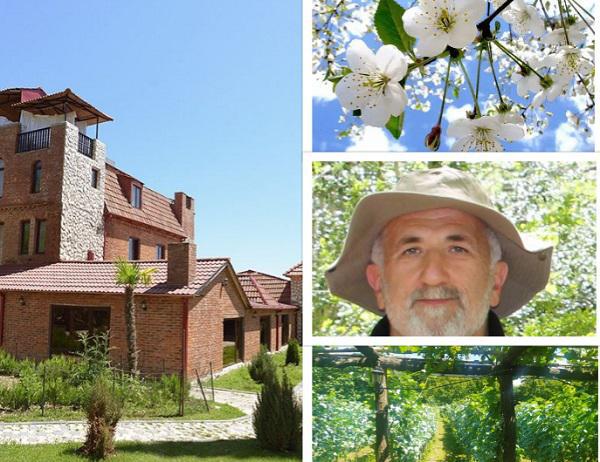 "რა იქნება, რომ ტყემლის ყვავილობა დღესასწაულად ვაქციოთ?!" - ხონელი პროფესორი საინტერესო ინიციატივით: ულამაზესი კარ-მიდამო და საოჯახო მეურნეობა გორდში