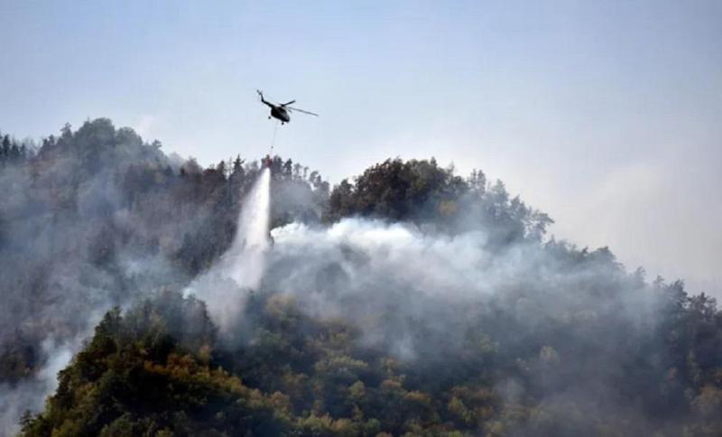 ბორჯომ-ხარაგაულის ეროვნული პარკის ტერიტორიაზე, ლიკანის მიმდებარედ ტყის მასივში ხანძარია