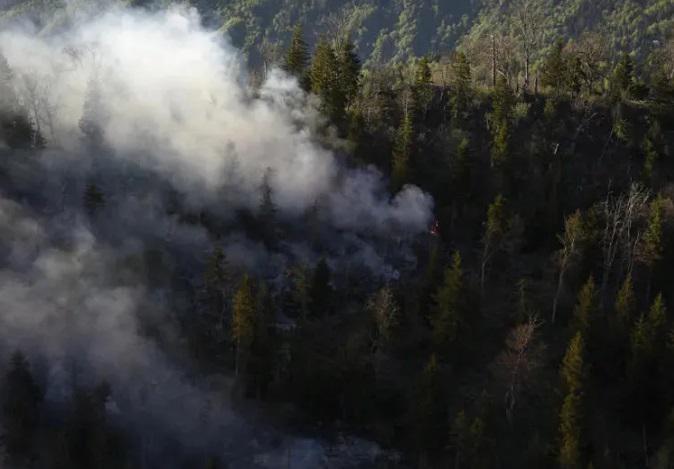 მუხათგვერდის ტერიტორიაზე ხანძარია - როგორია ვითარება ამ წუთებში ადგილზე