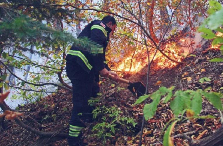 სვანეთში, სოფელ ლატალში, მთის ფერდობზე ხანძარია