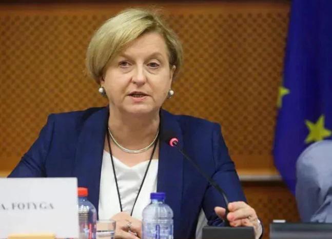 მიხეილ სააკაშვილის სასამართლო პროცესს ევროპარლამენტარი ანა ფოტიგა დაესწრება