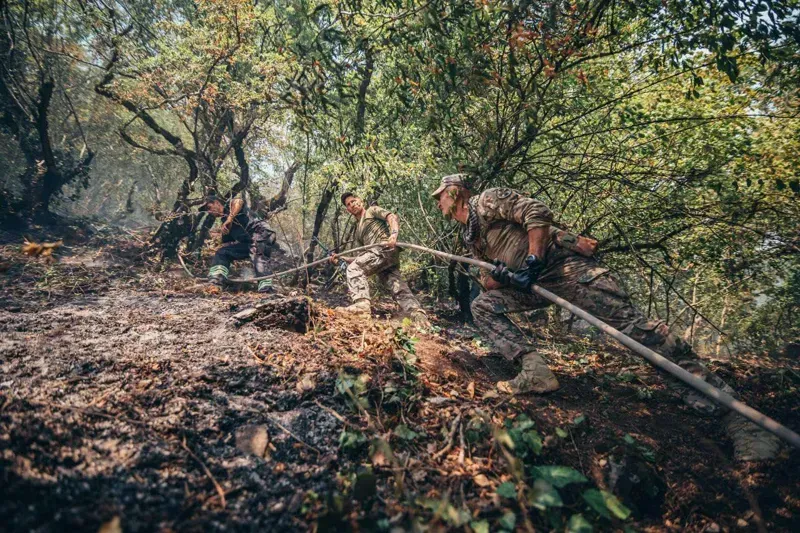 რა ვითარებაა ყვარელში, სოფელ შილდაში, სადაც ხანძარს რამდენიმე დღეა ებრძვიან
