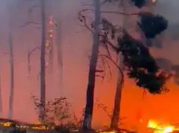 თბილისის შემოგარენში ხანძრის რამდენიმე კერაა - წავკისში, წყნეთსა და ნაფეტვრებში ცეცხლი ტყის მასივს უკიდია