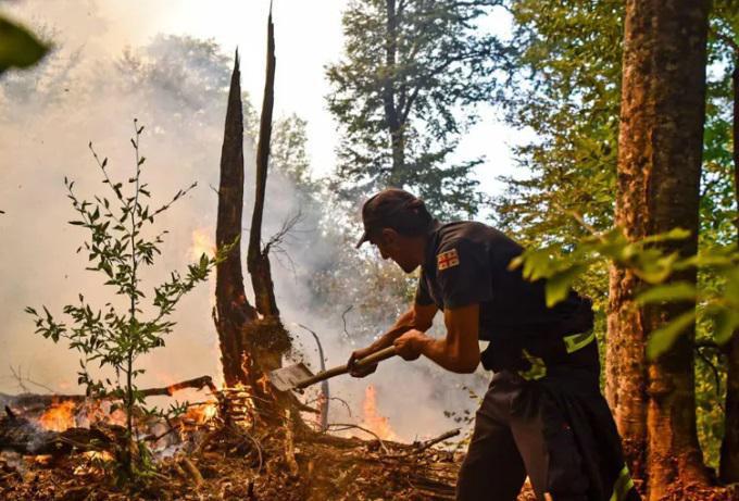თეთრიწყაროს მუნიციპალიტეტის სოფელ ასურეთში ხანძარია