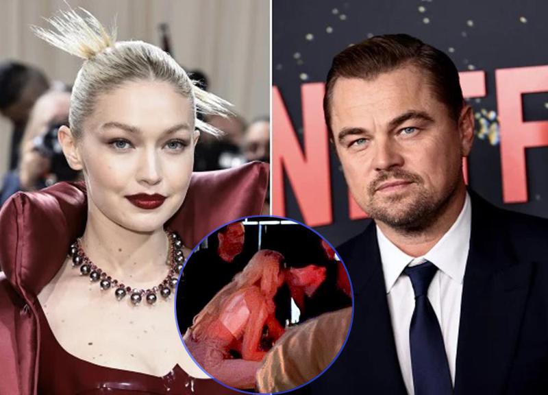 რომანი ლეონარდო დიკაპრიოსა და ჯიჯი ჰადიდს შორის: ჭორები და ერთობლივი ფოტოები - ჰადიდი ასაკით ყველაზე უფროსია იმ ქალებს შორის, ვისაც მსახიობი ხვდებოდა