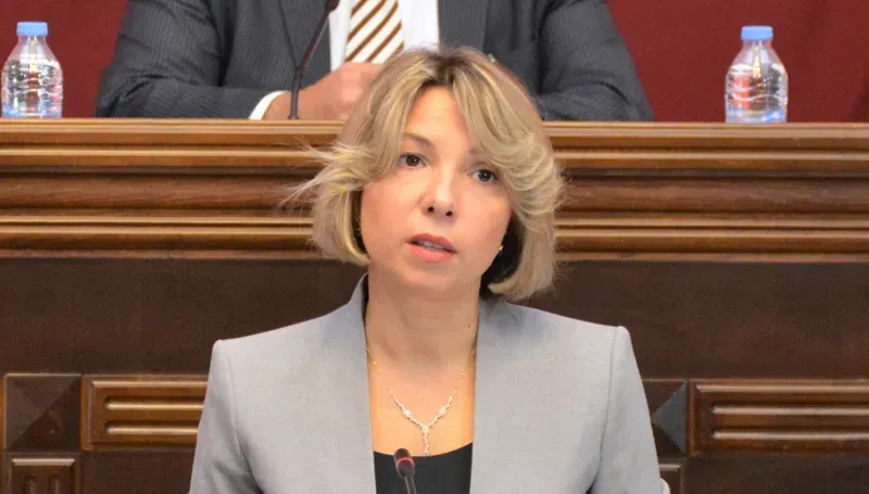 "გასულ წელს ადამიანის უფლებების მდგომარეობა მთელ რიგ შემთხვევებში დამძიმდა და გაუარესდა" - სახალხო დამცველი