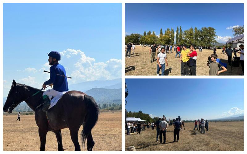 ტრადიციული დოღი და გასართობი ღონისძიებები - როგორ აღნიშნეს ახმეტაში "ბიძინაობა" (ფოტოები)