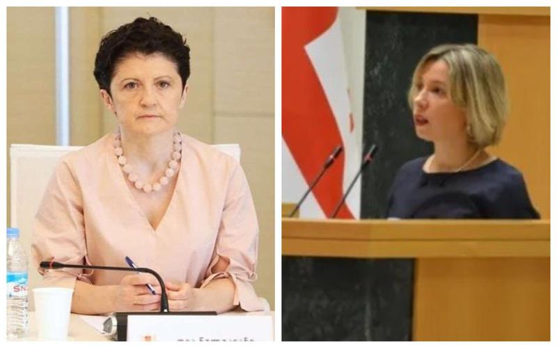 "პარლამენტში "სახალხო" დამცველის გედის სიმღერას უსმენენ" - რას წერს წულუკიანი ნინო ლომჯარიას პარლამენტში გამოსვლაზე?