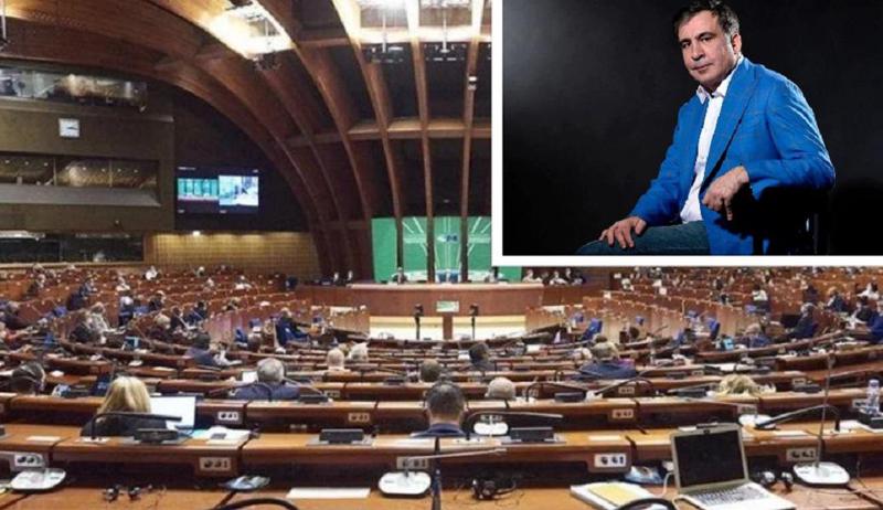 "ვითხოვთ პუტინის მოწინააღმდეგე პოლიტიკური პატიმრების, მათ შორის მიხეილ სააკაშვილის საქმეების გადახედვასა და მათ გათავისუფლებას" - ევროპის საბჭო