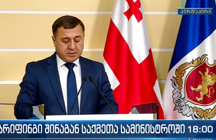 ვაკის პარკში მომხდარი ტრაგედიის საქმეზე 9 პირია დაკავებული - რას აცხადებენ შსს-ში? (ვიდეო)