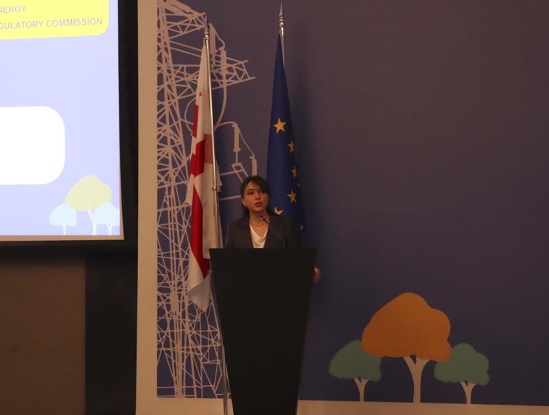 სემეკის წევრი მაია მელიქიძე განახლებადი ენერგიების საერთაშორისო საინვესტიციო კონფერენციაზე სიტყვით წარდგა