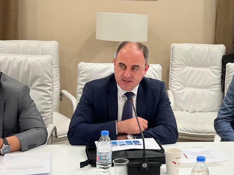 დავით ნარმანიამ  დარგობრივი ეკონომიკისა და ეკონომიკური პოლიტიკის კომიტეტში სემეკის 2021 წლის ანგარიში წარადგინა