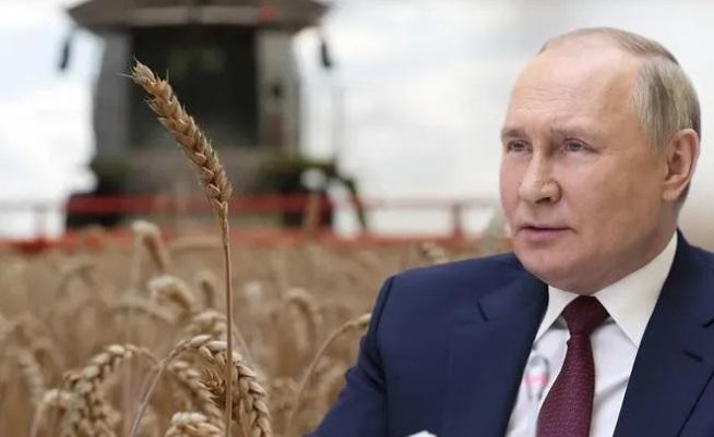 უკვე "ხორბლის ომიც" - რატომ შეაჩერა შეთანხმება კრემლმა და რა მოტივები აქვს პუტინს?