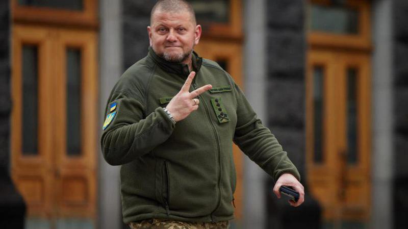 "ეს მეომრების გზაა, ადამიანებისა, რომლებსაც აქვთ გამბედაობა და ღირსება, აირჩიონ თავისუფლება. სავსეა სისხლით და ტკივილით, მაგრამ სწორედ ის წაგვიყვანს გამარჯვებისკენ" - ზალუჟნი