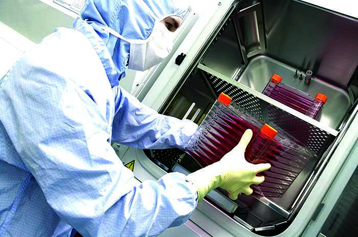 შესაძლებელია თუ არა აუტიზმის დამარცხება ღეროვანი უჯრედების გადანერგვით - რას ამბობენ სპეციალისტები და მშობლები: "ეს არის ექსპერიმენტი, შენი შვილი საცდელი კურდღელია"