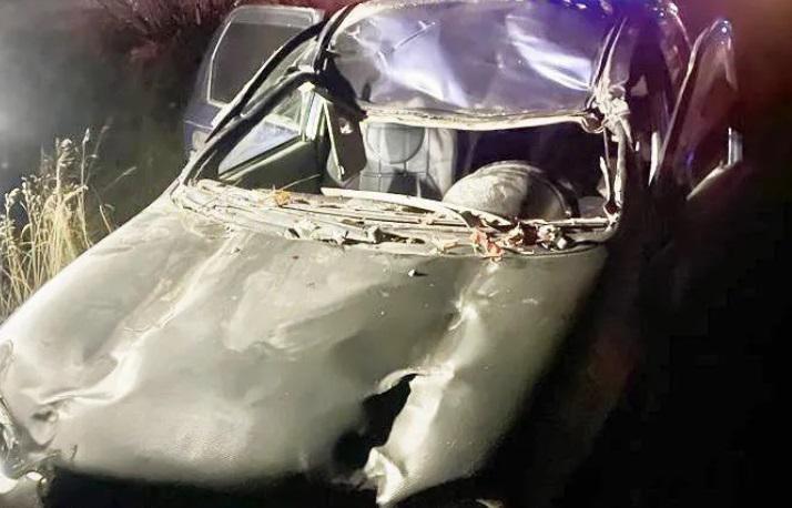 მძღოლმა საჭე ვერ დაიმორჩილა, ცხენს დაეჯახა, რის შემდეგაც სიმაღლიდან გადავარდა - ავარია ვაზიანი-გომბორი-თელავის დამაკავშირებელ გზაზე