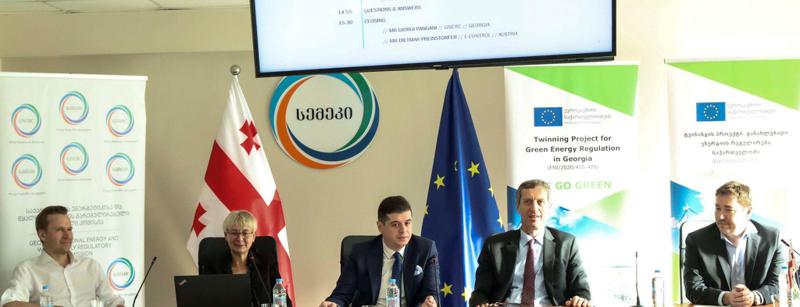 სემეკში მიმდინარე „თვინინგის“ ფარგლებში სამეთვალყურეო კომიტეტის შეხვედრა გაიმართა