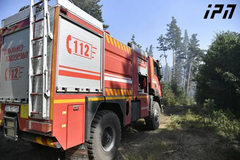 გორის მუნიციპალიტეტის სოფელ ტყვიავში გაჩენილ ხანძარს ერთი ადამიანის სიცოცხლე ემსხვერპლა