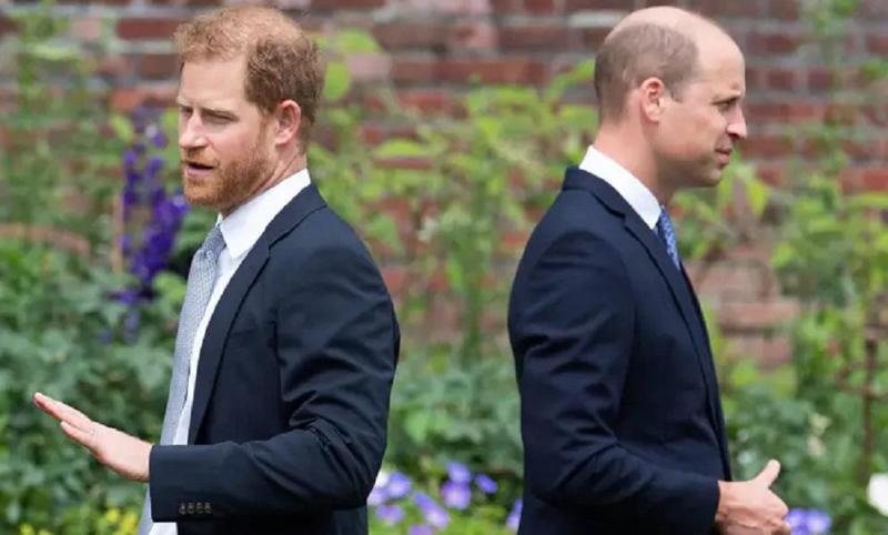 "ჩემი ძმა მიყვიროდა, მამა რაღაცებს მაბრალებდა, ბებია კი..."- რას ჰყვება ჰარი ოჯახის წევრებთან გამართულ შეხვედრაზე, სადაც მისი და მეგანის სამეფოდან წასვლა გადაწყდა