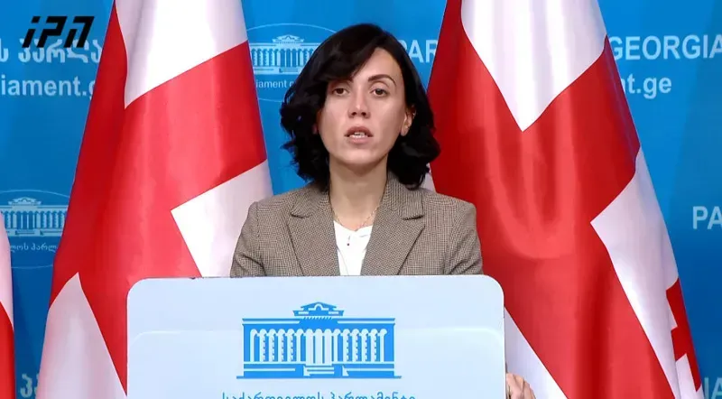 "თუ ხელისუფლებას პრეზიდენტ სააკაშვილის სიცოცხლის გადასარჩენად მსხვერპლი სჭირდება, დაე, ეს მსხვერპლი მე ვიყო" - ანა წითლიძე