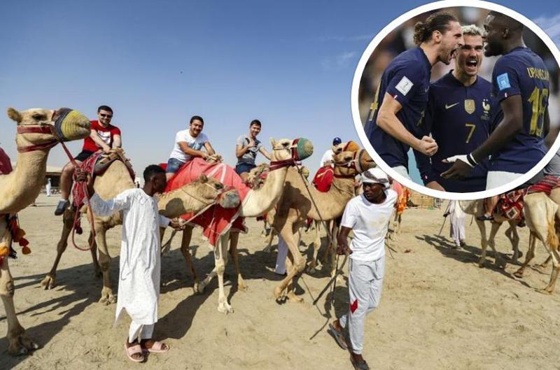 რა ვიცით "აქლემის გრიპის" შესახებ, რომელიც ბოლო კვირებია კატარში ვრცელდება - ერთ-ერთი ვერსიით, ამ ვირუსით ფრანგი ფეხბურთელები დაინფიცირდნენ