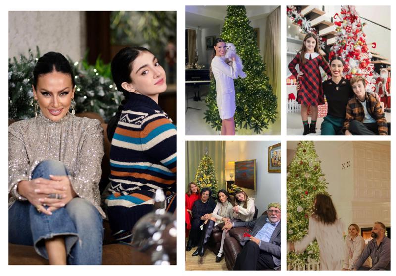 ქართველი ვარსკვლავების საახალწლო სამზადისი - ვინ როგორი ნაძვის ხით ხვდება კურდღლის წელს? (ფოტოები)