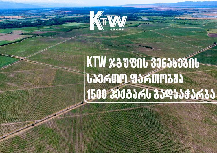 2022 წელს KTW ჯგუფის ვენახების საერთო ფართობმა 1500 ჰექტარს გადააჭარბა