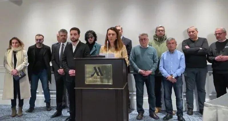 "გთხოვთ, ესაუბროთ რუსეთის მიერ კონტროლირებულ ხელისუფლებას და ტყვეების გაცვლის პრინციპით, სააკაშვილი ტყვეობიდან გამოიხსნათ" - ნონა მამულაშვილი ზელენსკის