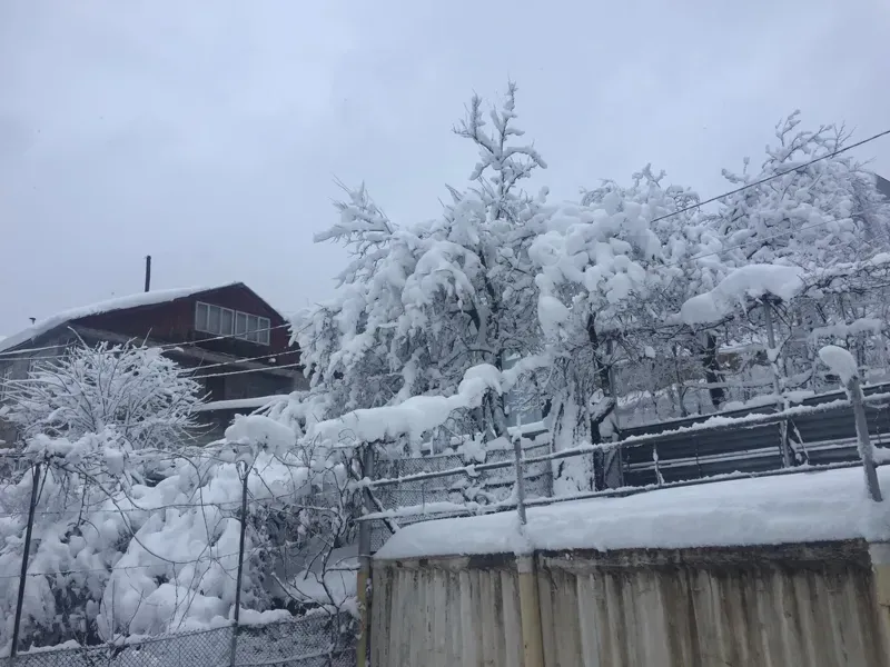 დიდთოვლობა მაღალმთიან აჭარაში - უხვმა ნალექმა მოსახლეობას პრობლემები შეუქმნა