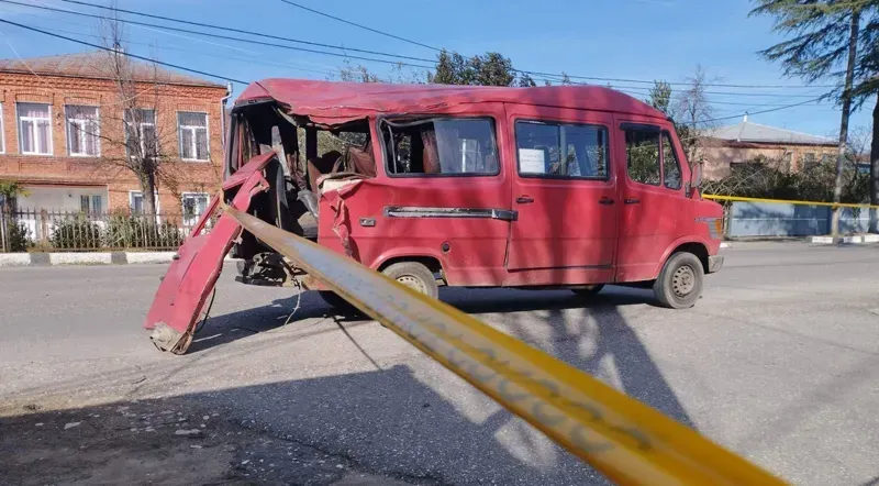სენაკში მიკროავტობუსს ხე დაეცა, რის შედეგად სამი ადამიანი დაშავდა (ვიდეო)