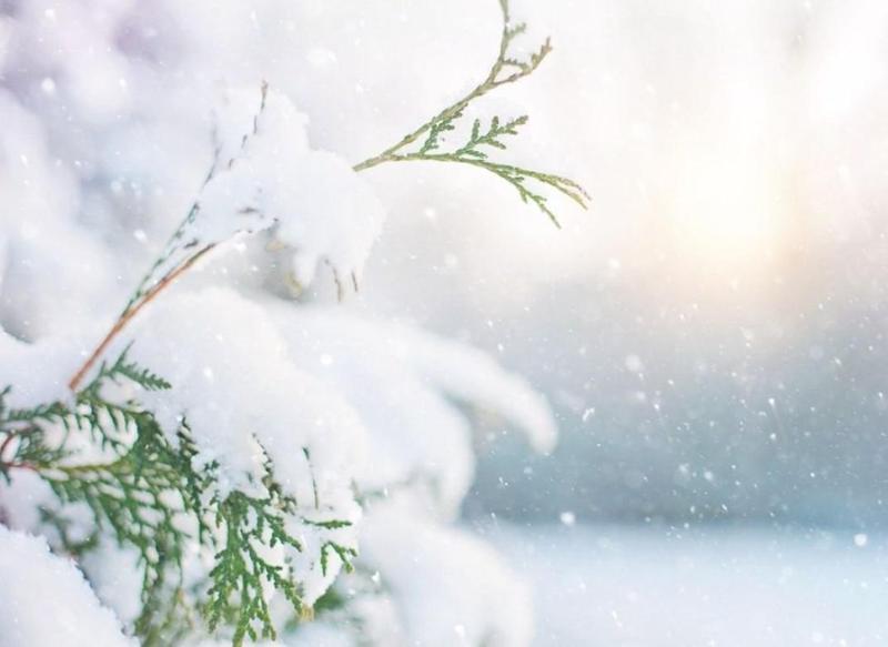 როგორი ამინდია მოსალოდნელი საქართველოში - უახლოესი დღეების პროგნოზი