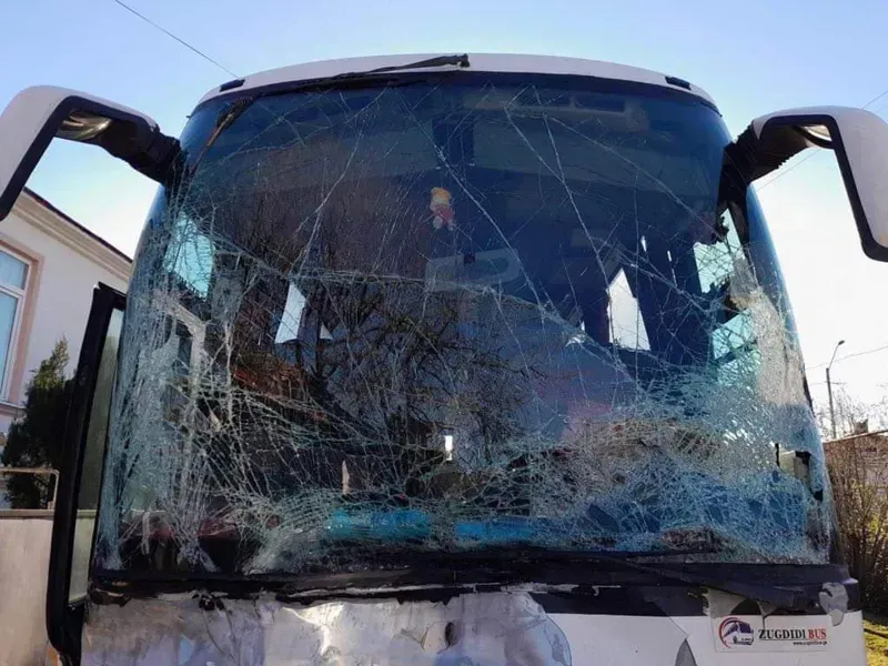 ზუგდიდის შესასვლელთან მგზავრებით სავსე ავტობუსს ხე დაეცა
